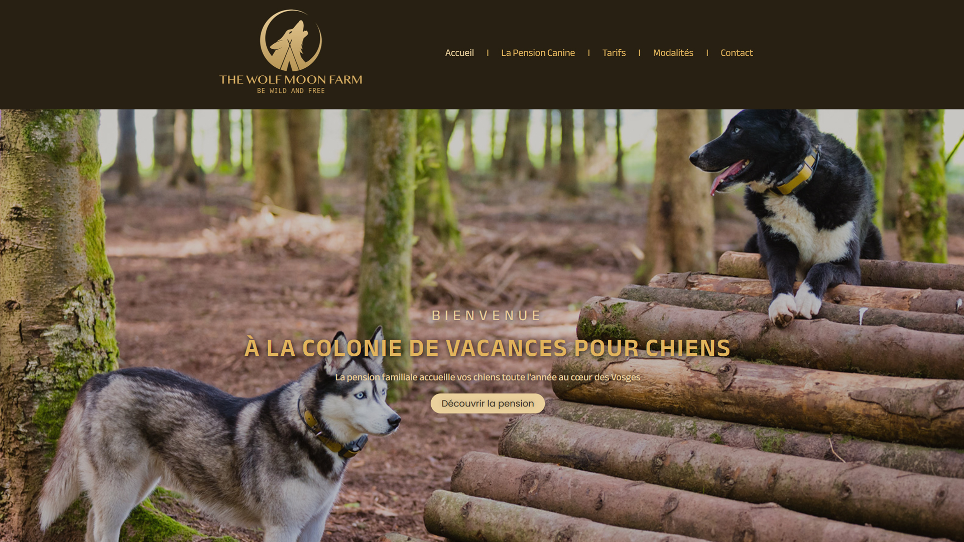 geri-studio-site-internet-the-wolf-moon-farm